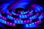 5 Meter (16.4 Feet) Ultra Color Changing Strip Light with Remote Control