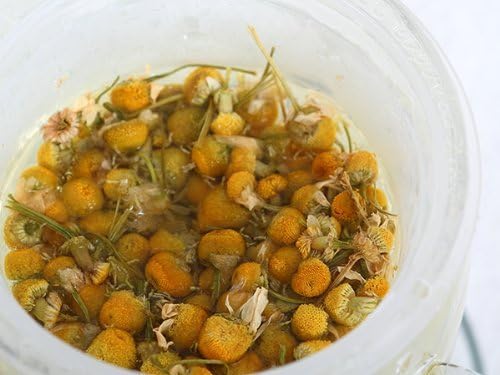 Chamomile German EX tea [500g] ?NHK of Yuudoki network, TV Tokyo L4YOU! Hottest in the broadcast! ?Topic of herbal tea in the saccharification prevention [More]