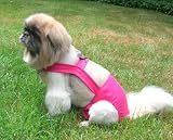 Joybies Hot Pink Piddle Pants(tm) for Large Female Dog (Measuring 17-19 From Collar to Base of Tail)