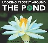 Looking Closely around the Pond