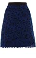 Blue Lace Skirt