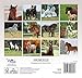 Horses 2014 Mini Calendar