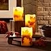 Loft Living 3-Piece Flameless LED Harvest Pillar Candle Set with Charming Fall Motif
