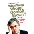 What Went Wrong, Gordon Brown?: How the dream job turned sour