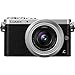 Panasonic LUMIX DMC-GM1 16.0 MP Digital Camera (Silver, W/ 12-32 Lens)
