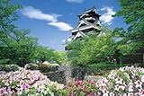 1000ピース 熊本城-熊本 10-662