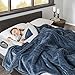 Beautyrest Heated Microlight to Berber Elect Electric Blanket with Two 20 Heat Level Setting Controllers, King, Blue