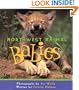 Northwest Animal Babies