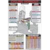 Recumbent Cycling Workout 24" X 36" Laminated Chart