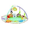 Fisher-Price Precious Planet Deluxe Musical Activity Gym