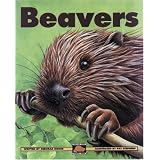 Beavers (Kids Can Press Wildlife Series)
