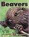 Beavers (Kids Can Press Wildlife Series)