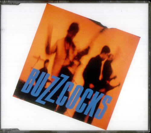 Buzzcocks Foto 11