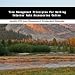 Book Time Management Principles For Selling Interior Auto Accessories Online