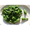 Pimentos De Padron Hot Pepper 25+ seeds