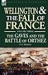Wellington and the Fall of France Volume III: the Gaves and the Battle of Orthes