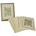 Cavallini Pack of 2 Book Plates Ex Libris 18 in each package, 36 count total