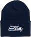 Seattle Seahawks Stadium Knit Cap