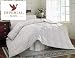 White Feather Down Comforter - Queen Size Image
