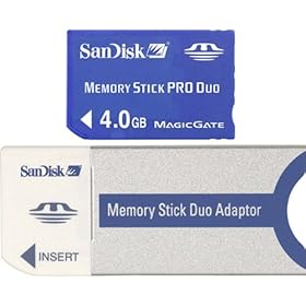 NEW 4GB Memory Stick Pro Duo Memory Card (Memory & Blank Media)