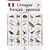 L'imagier fran�ais-japonais : 225 Mots illustr�s