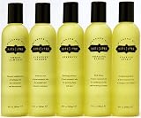 Kama Sutra Aromatherapy Massage Oil Large 8 oz Soaring Spirit