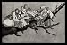 Francisco de Goya y Lucientes (Follow the 