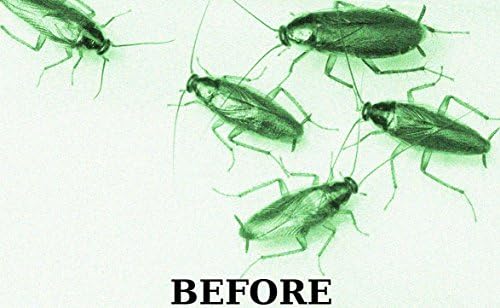 Professional Strength Cockroach Repellent (24 FL OZ) Orange Fire