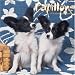 Papillons 2008 Wall Calendar