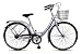 Viking Downtown Shopping 19" Ladies Bike Viking Downtown Shopping 19" Ladies Bike
