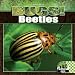 Book Beetles (Bugs!)