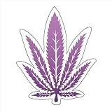 �w���v �G�A�[�t���b�V���i�[(���L&�F��)3P�p�b�N �A�i�X�C�^�C�v OASHA0201 27488