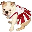 Pets First NCAA University of Alabama Crimson Tide Cheerleader Dog Outfit, Medium Pets First NCAA University of Alabama Crimson Tide Cheerleader Dog Outfit, Medium