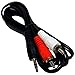 Bass Rockers Stereo 3.5mm to 2 RCA Adapter Cable 6ft - ST2RCA