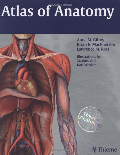 atlas of anatomy thieme anatomy