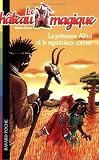 Le château magique, Tome 4 : La princesse Akissi et le mystérieux sorcier