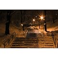 Winter Stairs in the Park Gallery Wrapped Canvas - 24x36"