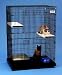 PRECISION CAT CAGE W PLASTIC BASE 48X24X36