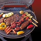 Portable Propane Grill