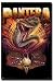 Pantera (Serpent) Framed Music Poster Print - 24 X 36