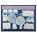 American Educational 2523TR Plate Tectonic Chart Transparency Set