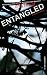 Entangled at Amazon Books: 51mVMtGvZOL._SL75_