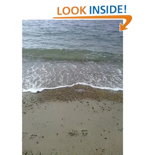 When Man Lived in the Sea