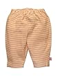 Itzy Bitzy Candy Striped Pants by Zutano - Orange - Preemie