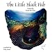 The Little Black Fish (Paperback) by Samad Beh-Rang