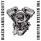 Lynyrd Skynyrd-inspired heavy metal