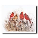 Red Birds Cardinals In Grass Animal Wildlife Home Decor Wall Picture 16x20 Art Print