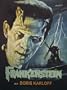 Frankenstein - Movie Poster: Painted (Size: 27'' x 40'')