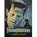 Frankenstein - Movie Poster: Painted (Size: 27'' x 40'')