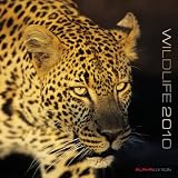 Wildlife 2010 Wall Calendar X108